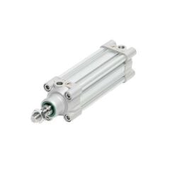 FMS 40X50 PAG Piston