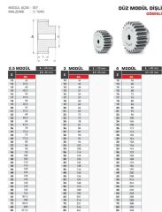 Hassel 4 Modül 25 Diş Göbekli