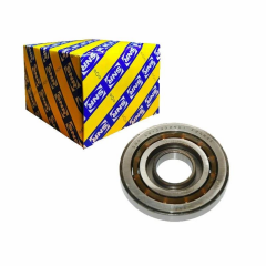 Renault 9 Mazot Pompa Rulmanı