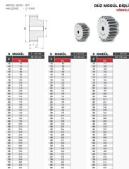 Hassel 8 Modül 25 Diş Göbekli