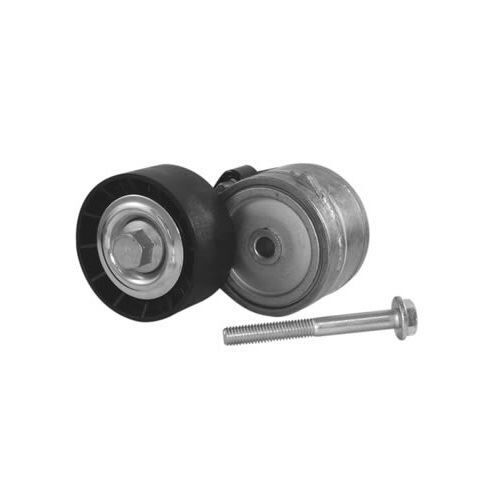 Dayco APV1000 Gergi Kütüğü