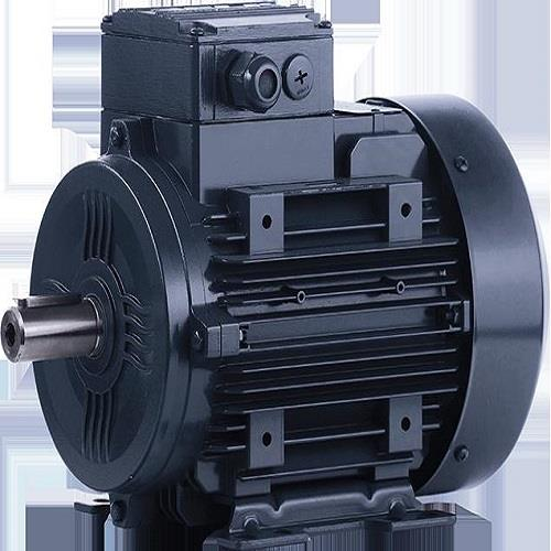 ELK 0,25 kw 3000 dv B34 Kapak 3EL063M2B Motor
