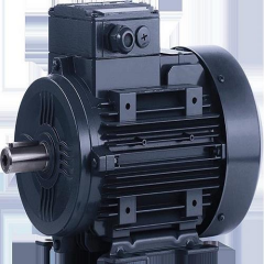 ELK 0,25 kw 3000 dv B34 Kapak 3EL063M2B Motor
