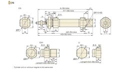 Jelpc 16x50 DSN Pnömatik Piston