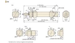 Jelpc 20x25 DSN Pnömatik Piston