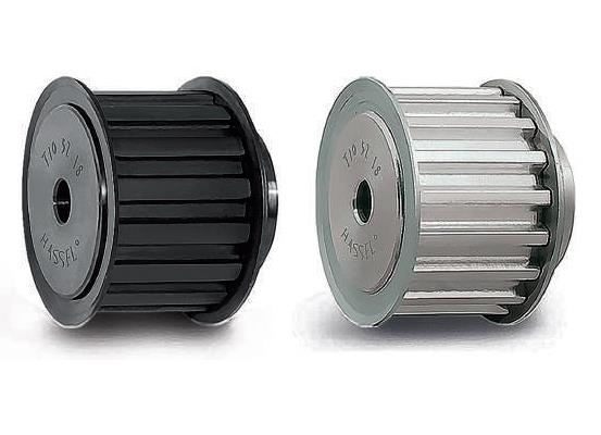 Hassel 24 T10 25 Triger Kasnak