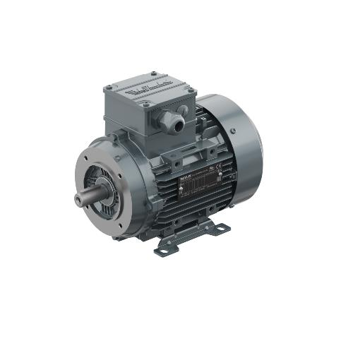 ELK 0,55 kw 1500 dv B14 Kapak 2EL080M4B Motor