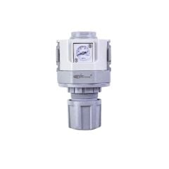 Goldstone 1 Regülatör EGR5000-G10