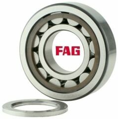 FAG NUP/305 E-TVP2 Rulman