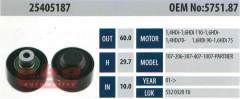 ABA 25405187 Gergi Rulmanı