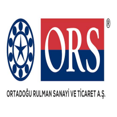 ORS 16100/2RS Rulman