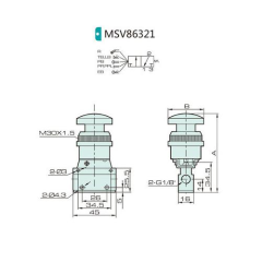 Jelpc 1/8-3/2 Mantar-Buton Valf MSV86321-PB