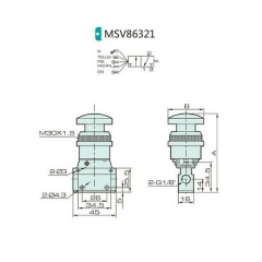 Jelpc 1/8-3/2 Makaralı Valf MSV86321-R