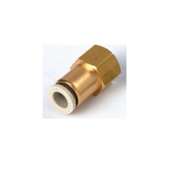 TPC 1/8-08 Dişi Rekor Bağlantı