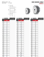 Hassel 1 Modül 12 Diş Göbeksiz
