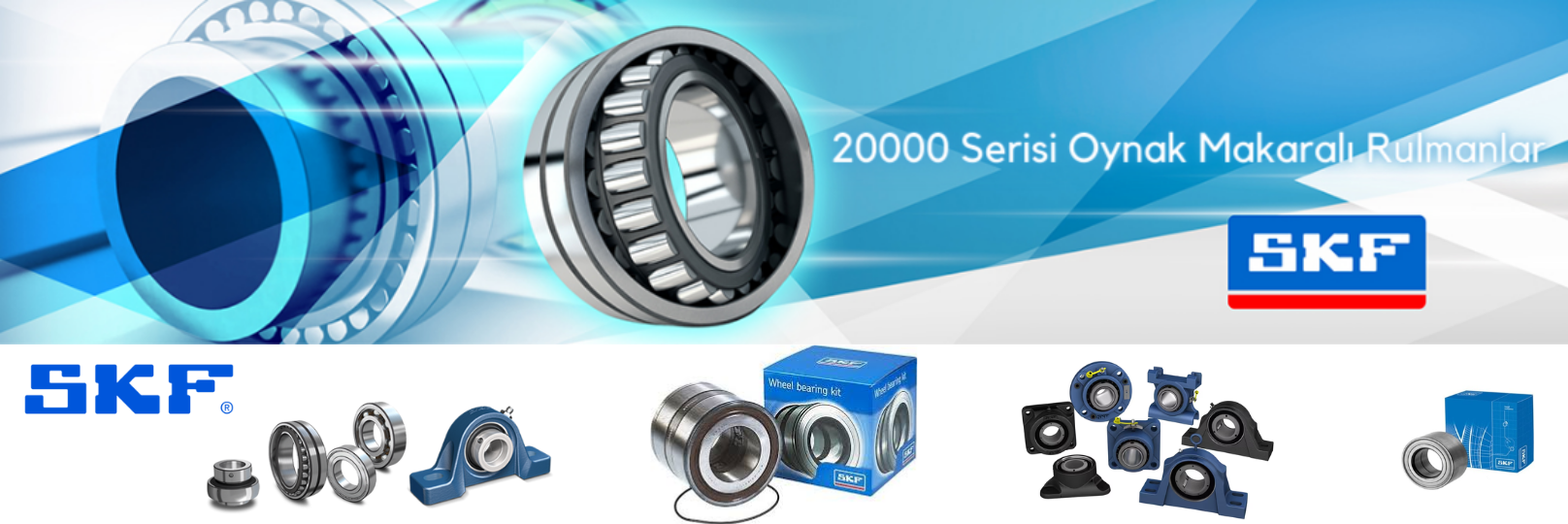 SKF Rulman Ana Bayisi