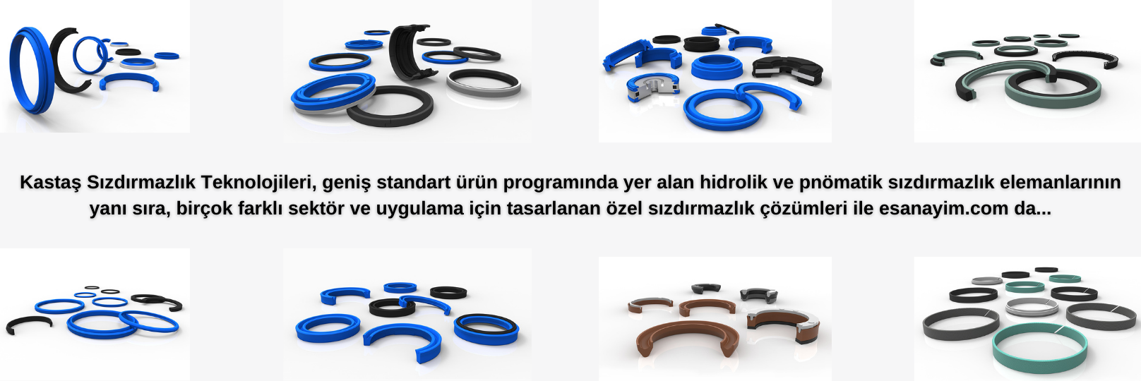 Kastaş Sızdırmazlık Elemanları